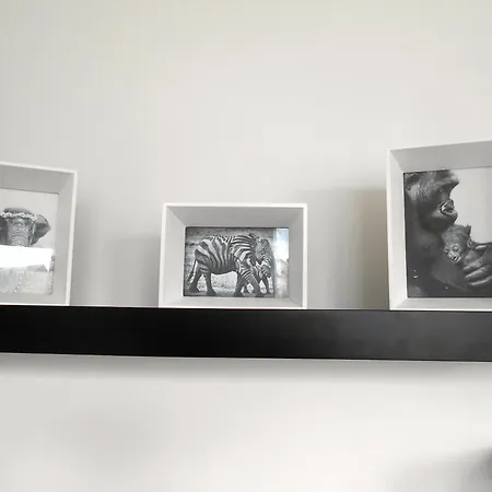 Africa Studio